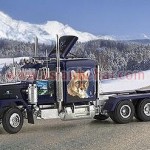 Cekiciler (37)
